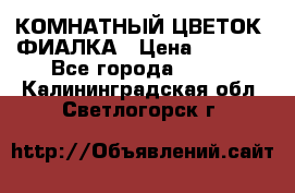 КОМНАТНЫЙ ЦВЕТОК -ФИАЛКА › Цена ­ 1 500 - Все города  »    . Калининградская обл.,Светлогорск г.